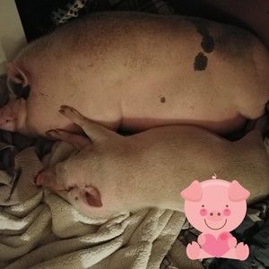 Meet your Posher, Tracy